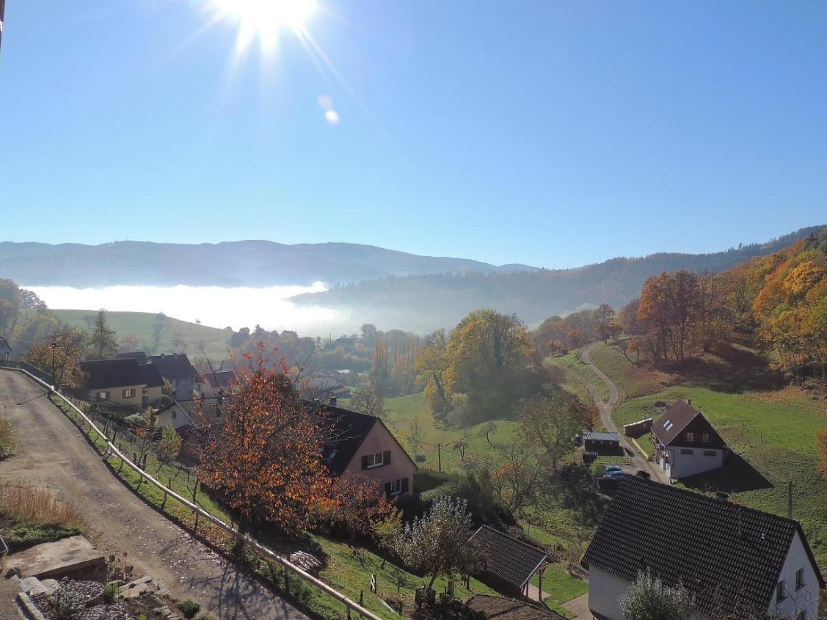 Au Bout Du Chemin Bed & Breakfast Hohrod Екстериор снимка